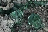 Green Cubic Fluorite with Calcite on Quartz - China #114025-3